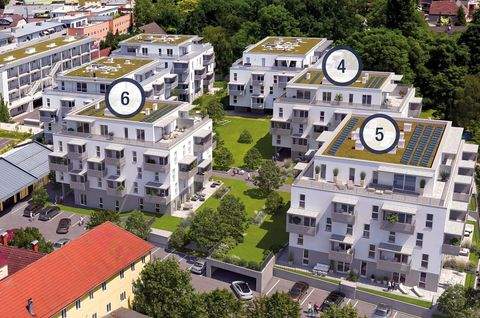 Traun Wohnungen, Traun Wohnung kaufen