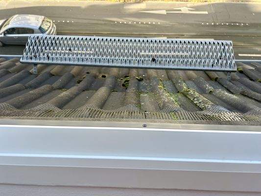 Fenster Tritt Schlafen 4