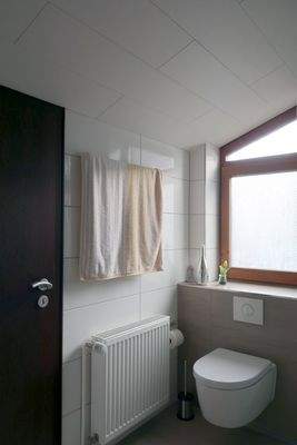 Tageslichtduschbad OG II