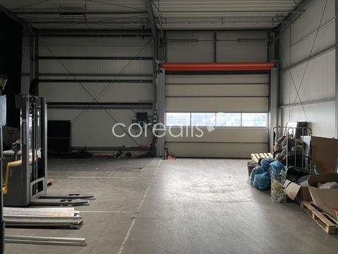 Düsseldorf Halle, Düsseldorf Hallenfläche