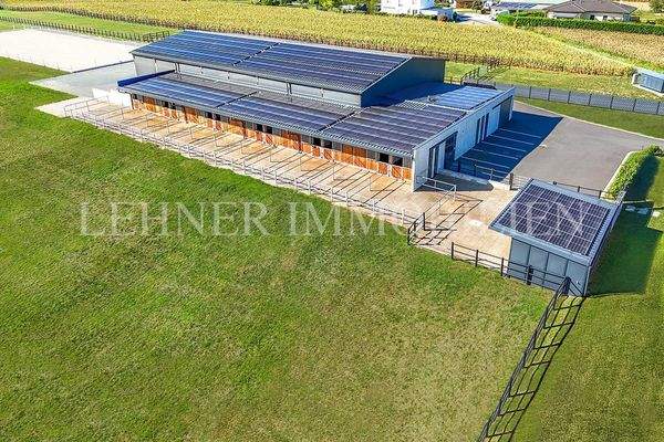 Lehner Immobilien Bild 10