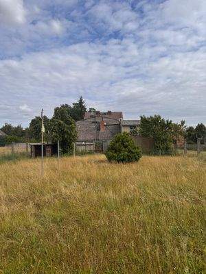 Blick aus dem Garten