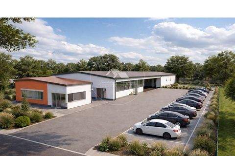 Neustadt a.d.Donau Halle, Neustadt a.d.Donau Hallenfläche