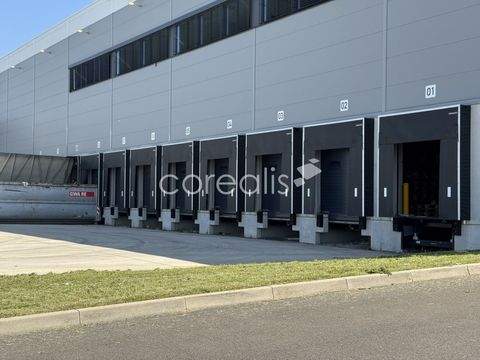 Remscheid Halle, Remscheid Hallenfläche