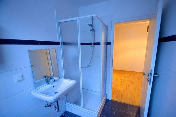 12 Bath - Shower 2.jpeg