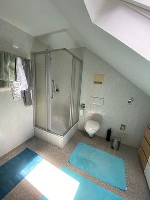Badezimmer/WC/Dusche