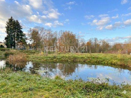 Idyllischer Park gegenüber (KI-bearbeitet)