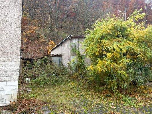 WhatsApp Image 2025-11-15 at 11.55.01 (1)