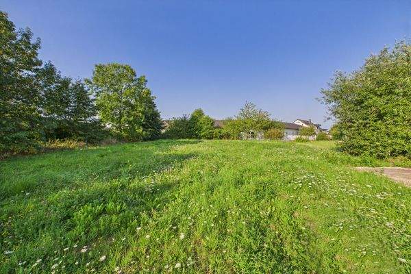 54317 Osburg – Zur Weilershecke 10