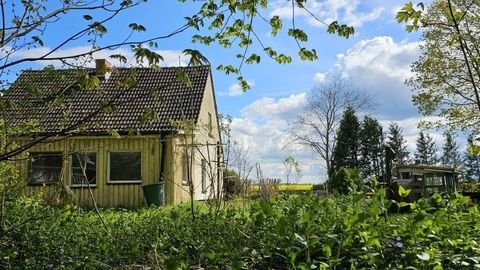 Tribsees Häuser, Tribsees Haus kaufen