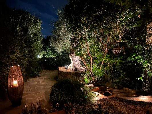 WhatsApp Bild 2025-10-05 um 19.52.34_363d359b.jpg