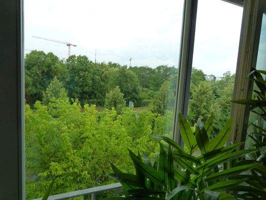 Mannheimer Str. 3 018.JPG