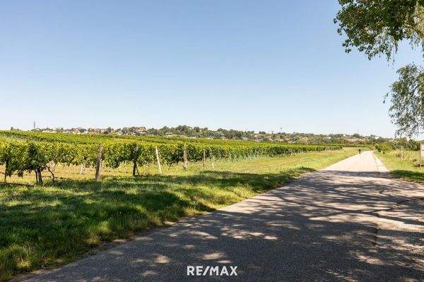 Umgebung - Radfahrweg