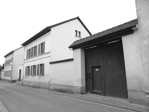Nieder-Hilbersheim Häuser, Nieder-Hilbersheim Haus kaufen