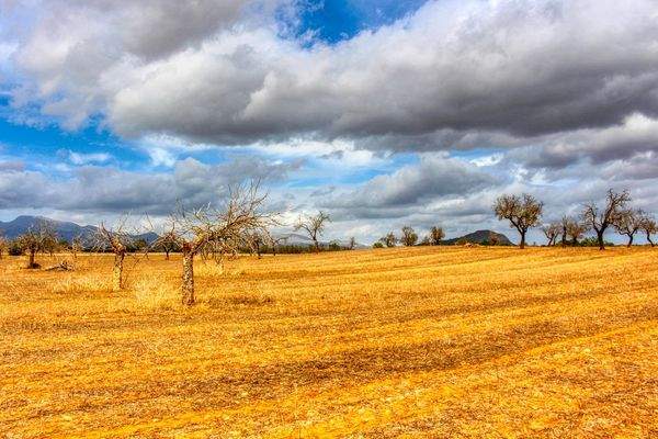 Zu-verkaufen-fantastische-Finca-in-sehr-ruhiger-Lage-bei-Costitx-Inca