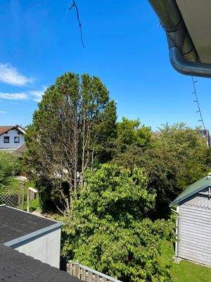 Dachterrassenblick ins Grüne