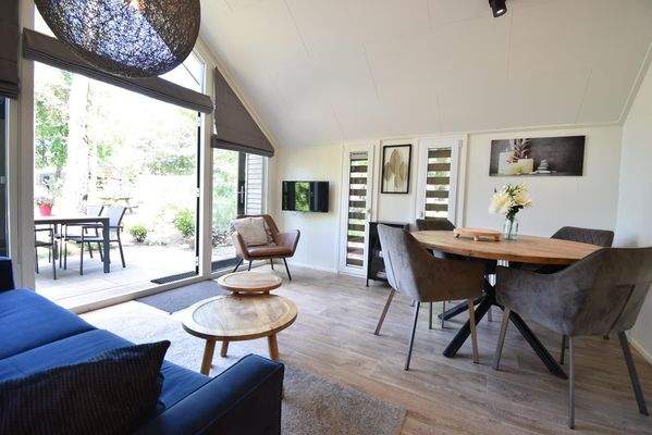 chalet-kaufen-arnhem-wohnzimmer-terrassenturen-terrasse-2025.webp010