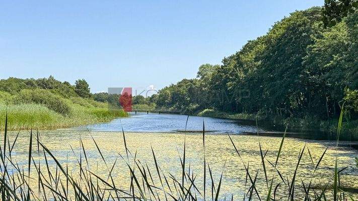 Umgebung - Prerower Strom