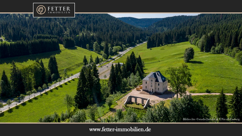 Eibenstock Häuser, Eibenstock Haus kaufen