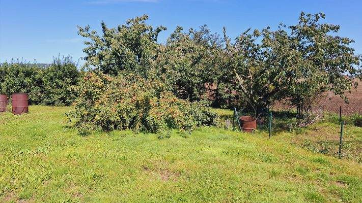 Außenansicht Garten