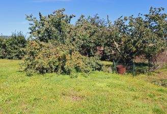 Außenansicht Garten