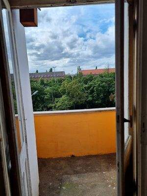 k-20230807_153531 - Kopie.jpg