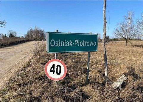 Osiniak-Piotrowo Grundstücke, Osiniak-Piotrowo Grundstück kaufen