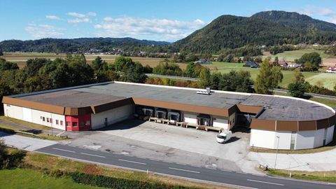 Maria Saal Halle, Maria Saal Hallenfläche