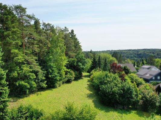 Wald und Wiesenteil mit Ausblick auf Baumberg
