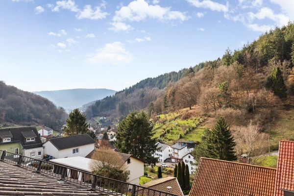 Andere Blickachse vom Balkon