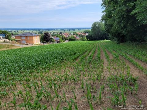 Holzheim Grundstücke, Holzheim Grundstück kaufen