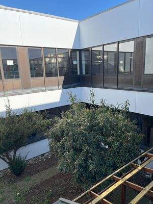 Büro´s (5)
