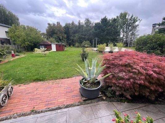 Blick auf das Grundstück