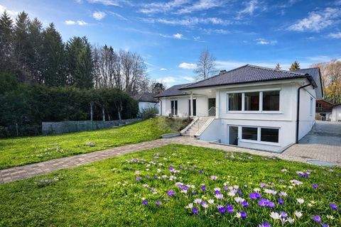 Starnberg Häuser, Starnberg Haus kaufen