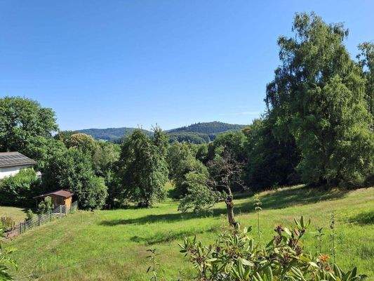 Blick nach Löhrbach.jpg