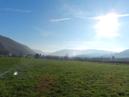 Blick vom Nachbargrundstück Richtung Traben-Trarbach
