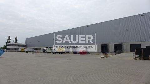 Berlin Halle, Berlin Hallenfläche