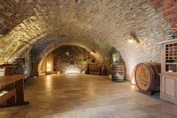 Neussl Eorykogel Liegenschaft 10 2025-24