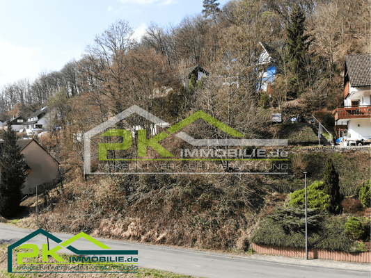 Ansicht Grundstück_vorne_I
