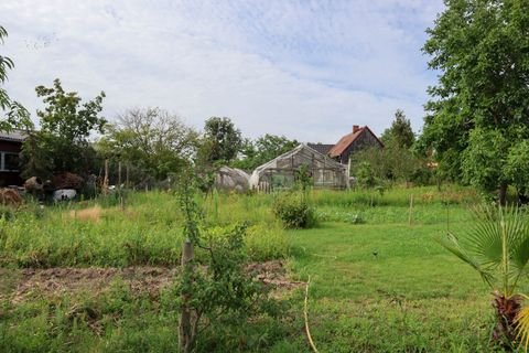 Groß Kreutz (Havel) Grundstücke, Groß Kreutz (Havel) Grundstück kaufen