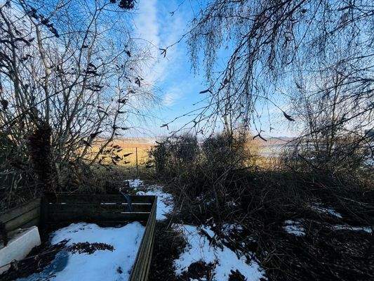 Nutzfläche / Gartenfläche