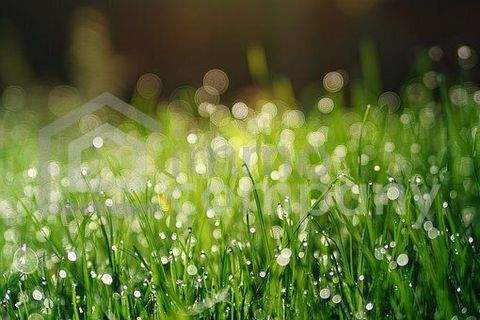 Zillingdorf Grundstücke, Zillingdorf Grundstück kaufen