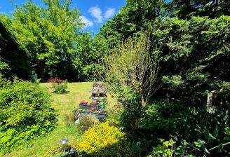 Bitterfeld, Dornröschenweg - DHH.jpg