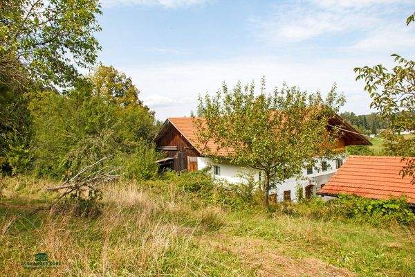 Bauernhof, Immobilien-Kurz-Salzburg