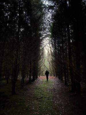 2025-12-10 16.23.49.jpg