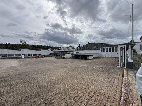 Pfinztal Halle, Pfinztal Hallenfläche