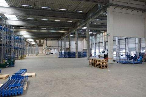 Viernheim Halle, Viernheim Hallenfläche