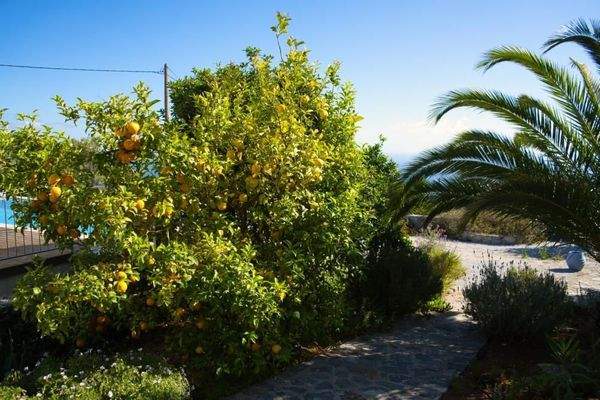 Kreta, Kefalas: Schöne Villa mit Swimmingpool und Meerblick zu verkaufen