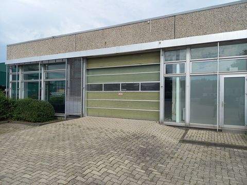 Kassel Halle, Kassel Hallenfläche