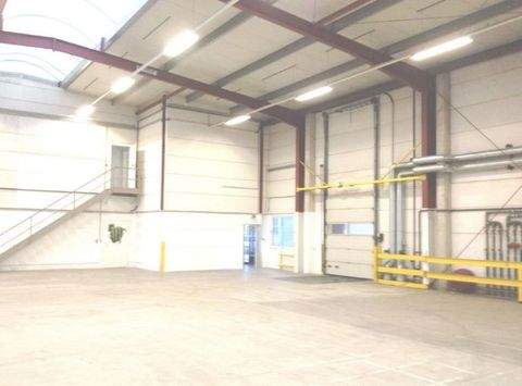 Essen Halle, Essen Hallenfläche